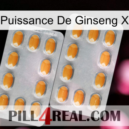 Ginseng Power X cialis4